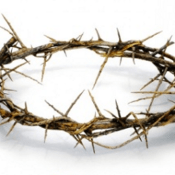 “Passi il tempo di cenere e ombra, venga il tempo di amare” / 1 e 2 aprile